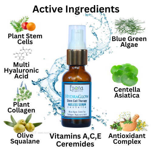 HydraGlow Stem Cell Therapy Oil Free Ageless Serum with Multi-Hyaluronic Acid, Blue-Red Algae, Plant Collagen, Centella Asiatica.